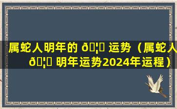 属蛇人明年的 🦈 运势（属蛇人 🦉 明年运势2024年运程）